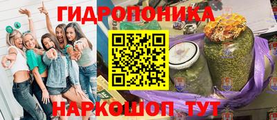 прущие грибы Лесосибирск