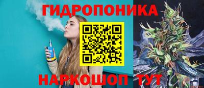 прущие грибы Лесосибирск